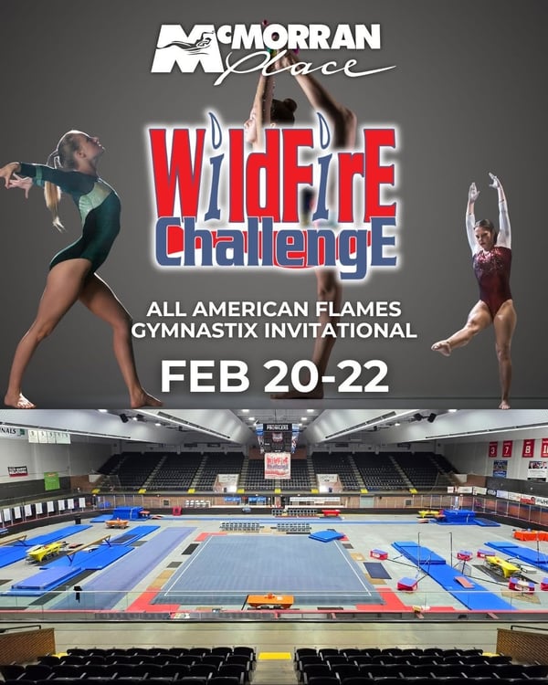 Gymnastics Takes Over Michigan’s Thumbcoast