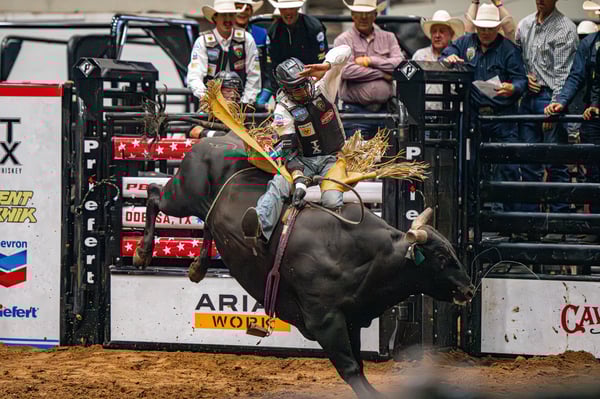 Cowboy Culture Year-Round