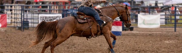 Flint and Genesee Festivals and Events in June